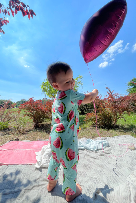 Пісочник з кавунами на ментоловому тлі