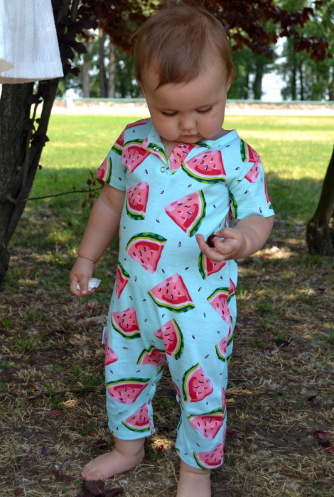 Пісочник з кавунами на ментоловому тлі